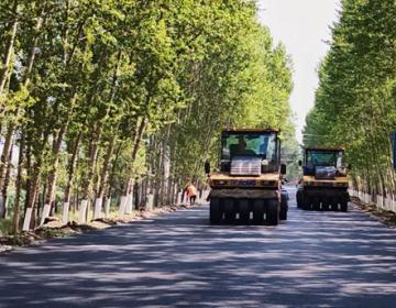 ����·���Ĺ�˾S311��·����·�߾���ů��Ⱥ�ڵ���